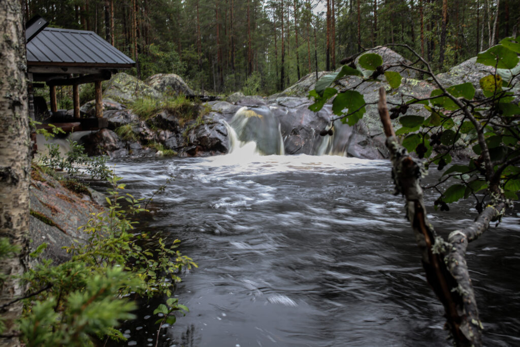 Waterfall in wild swedish forest