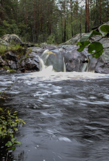Waterfall in wild swedish forest
