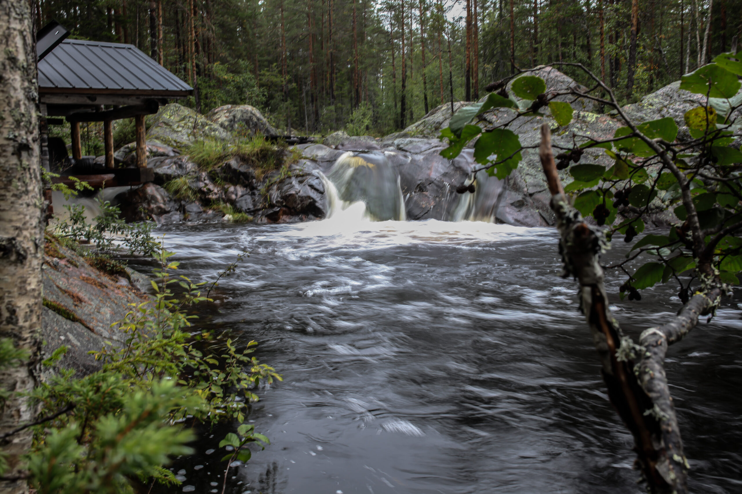 Waterfall in wild swedish forest